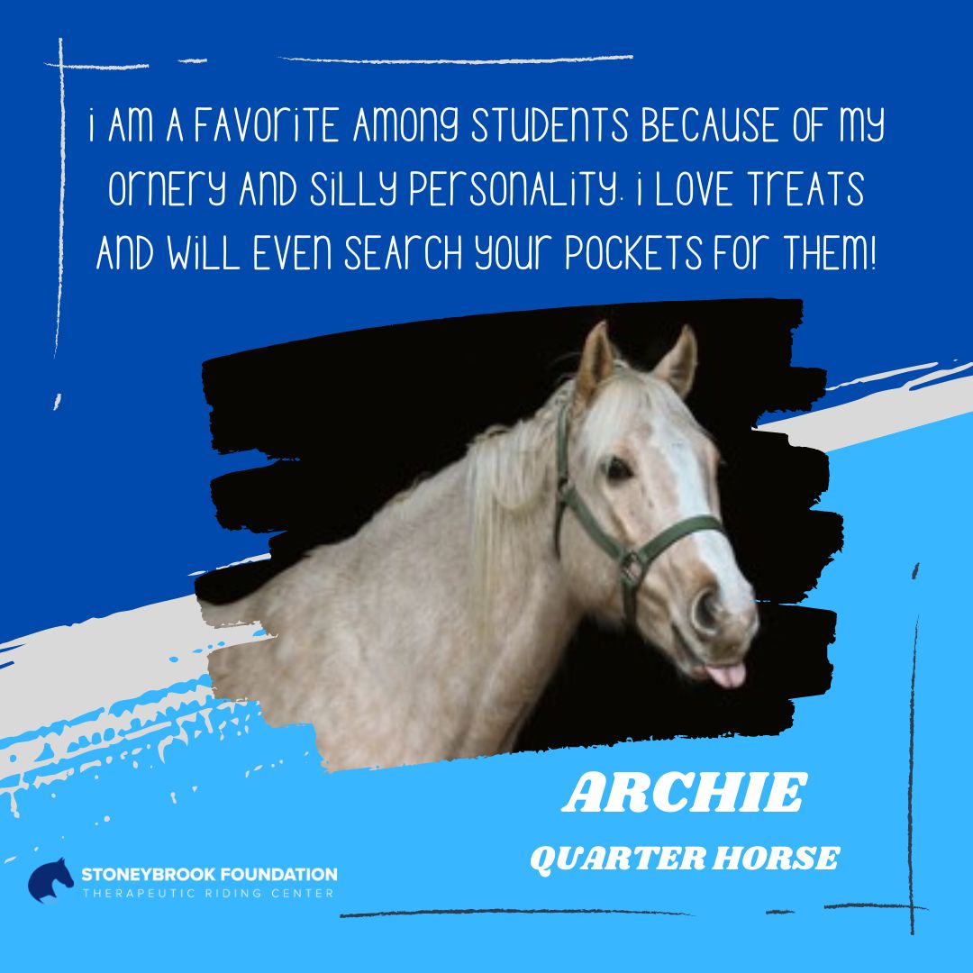 Archie_website