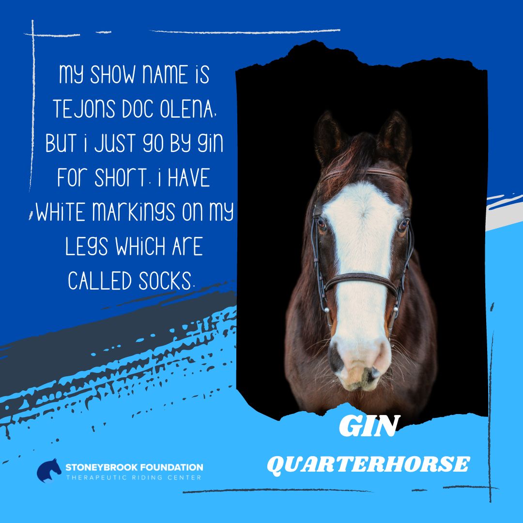 Gin_website