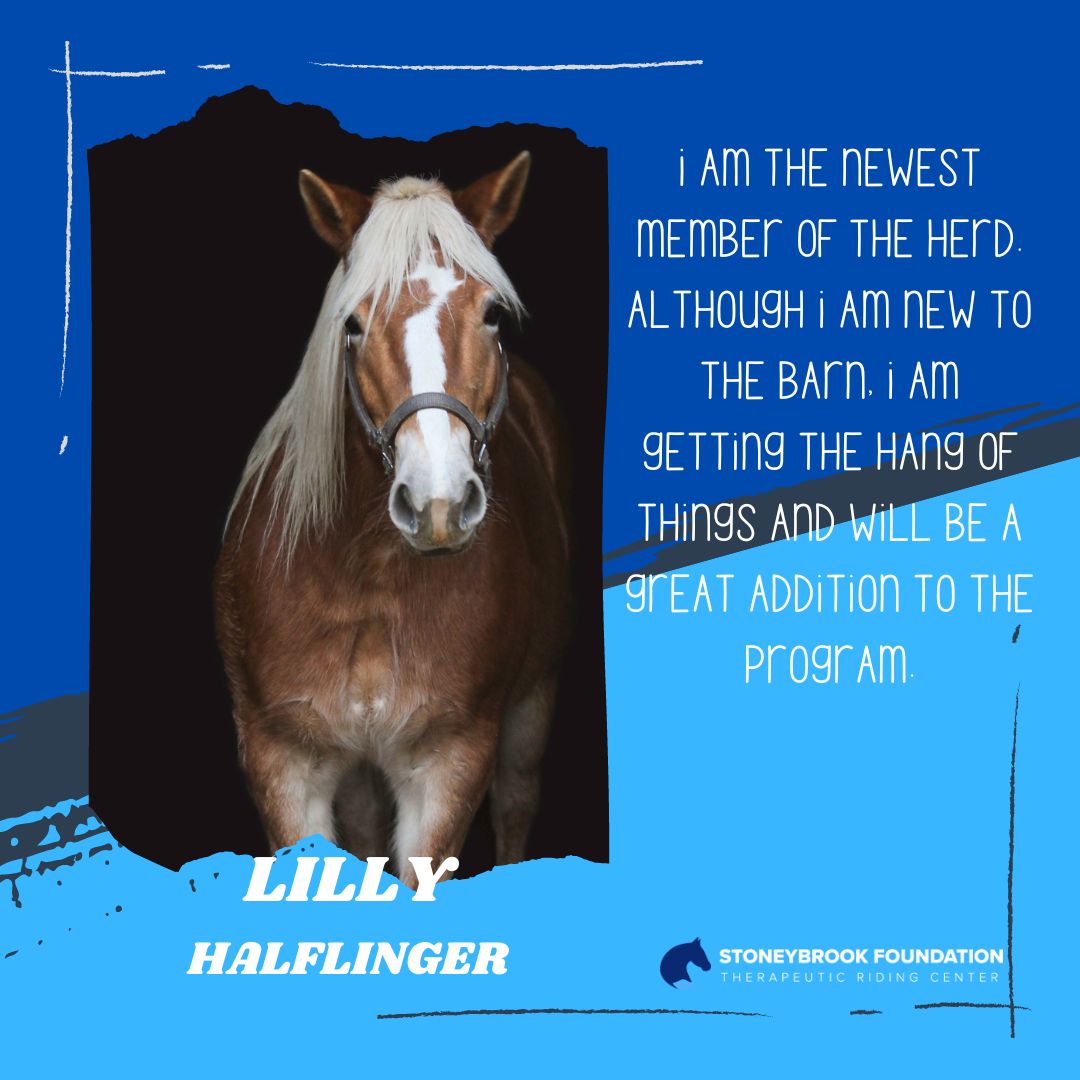 Lilly_website