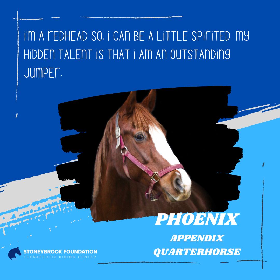 Phoenix_website