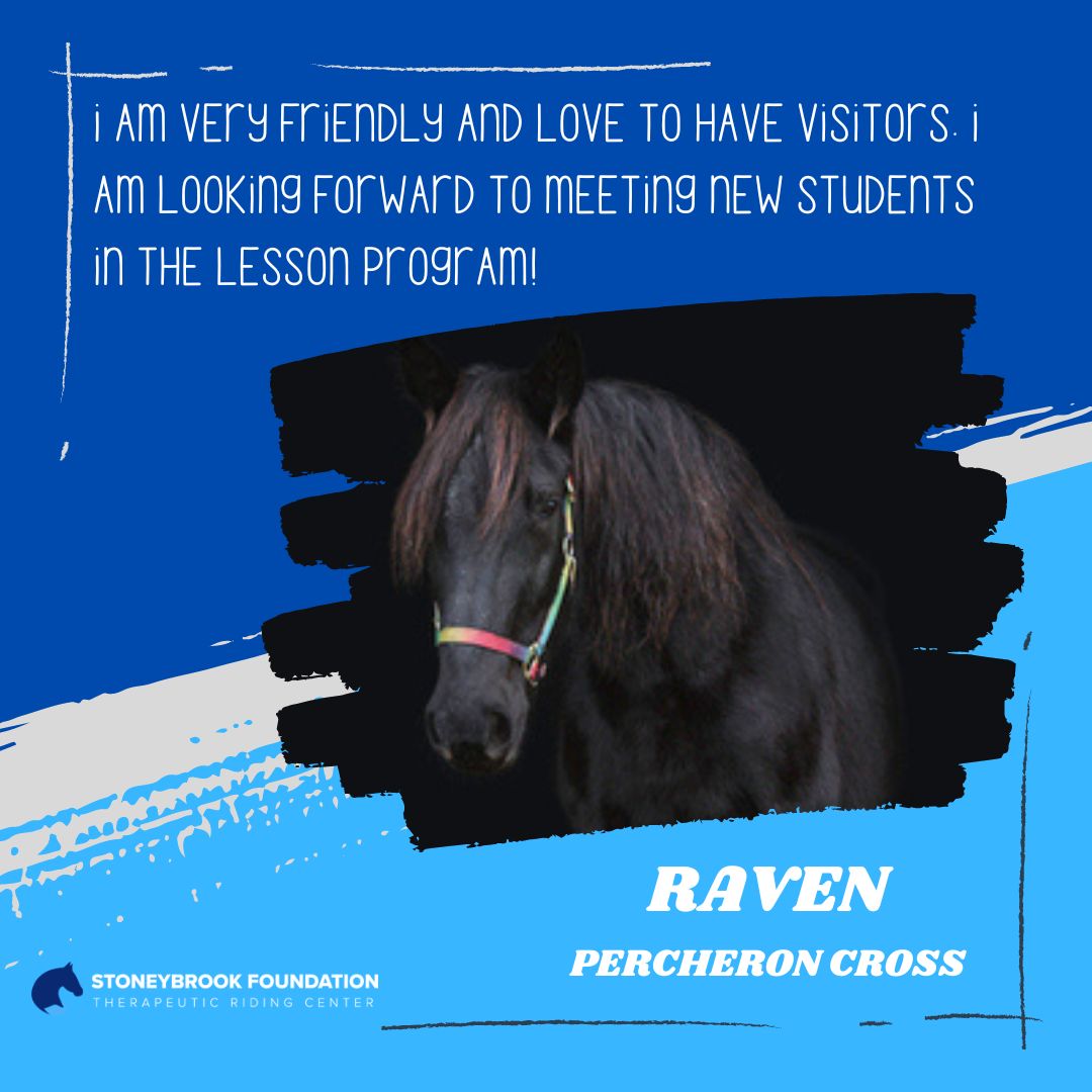 Raven_website